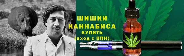 молекула духа Белоозёрский