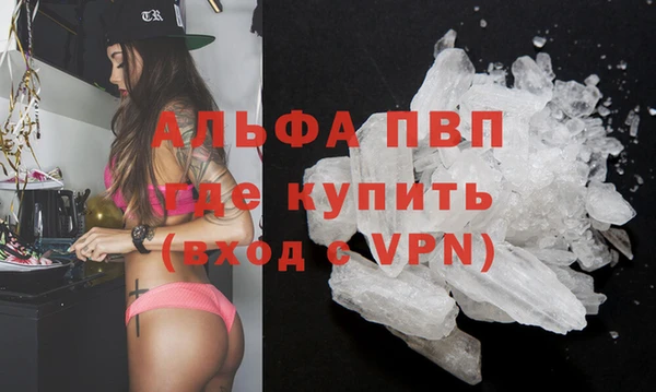 молекула духа Белоозёрский