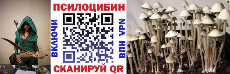 Псилоцибиновые грибы мухоморы Хвалынск